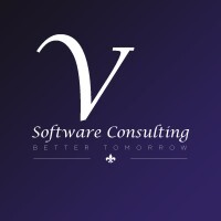 v-software.jpg