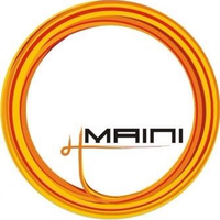maini.png